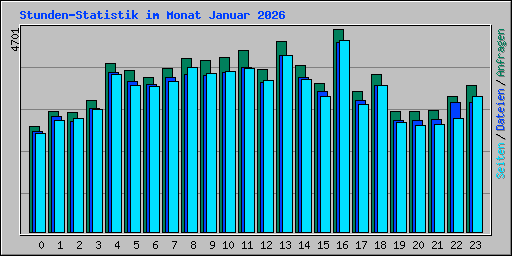 Stunden-Statistik im Monat Januar 2026